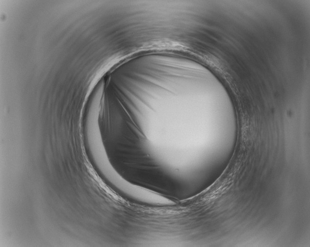 X0000055520990200509091403