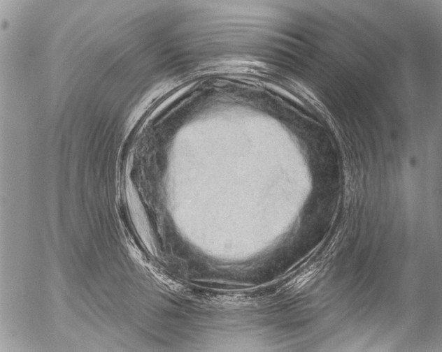 X0000055520994200509091403