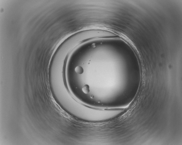 X0000055520996200509091403