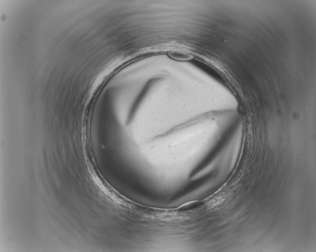 X0000055520998200509091403