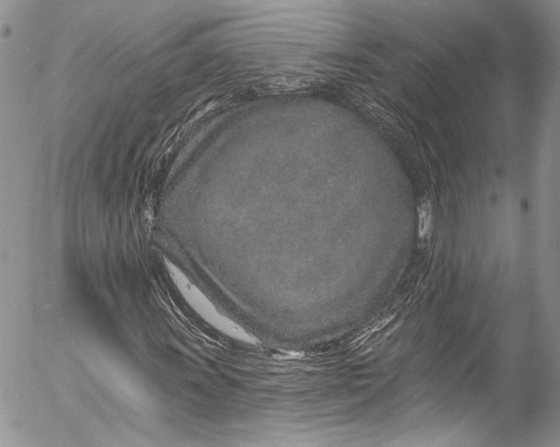 X0000055521011200509091402
