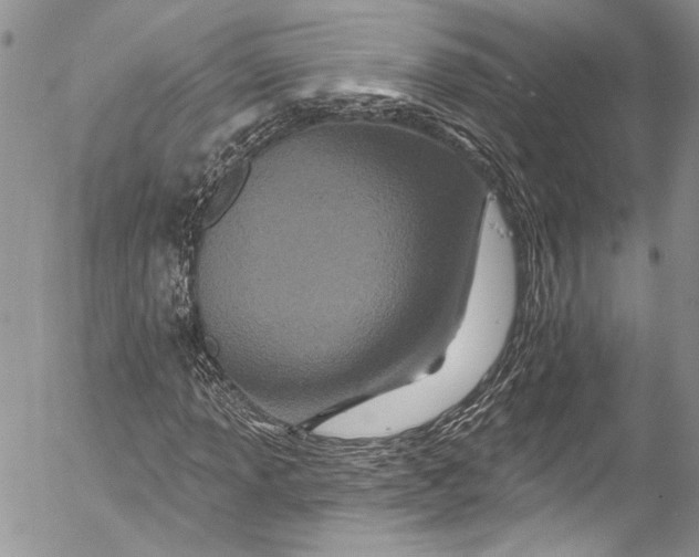 X0000055521013200509091402