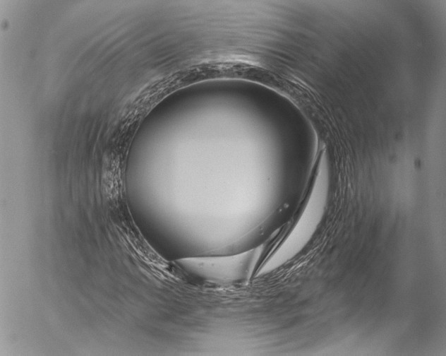X0000055521014200509091402