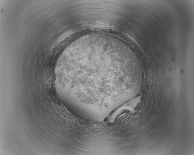 X0000055521015200509091402