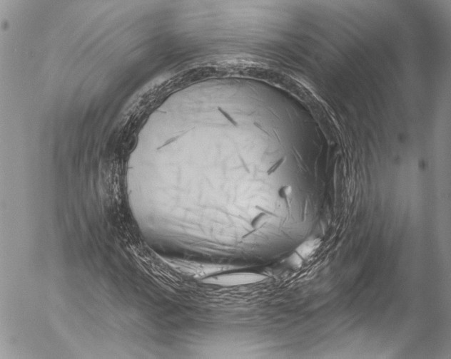 X0000055521016200509091402
