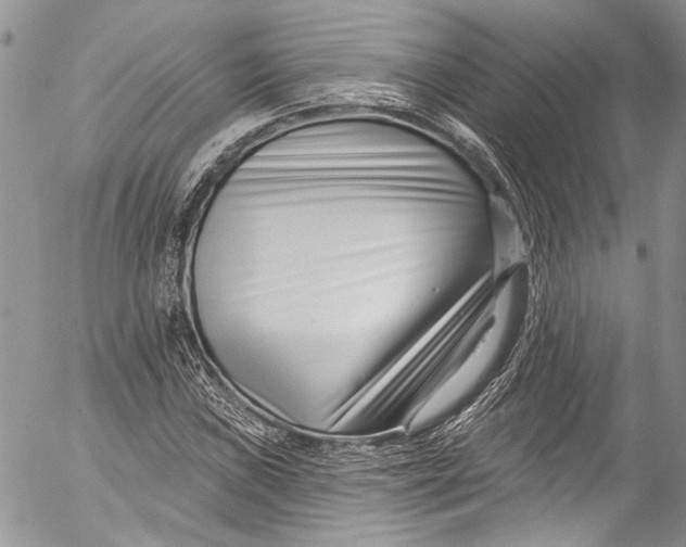 X0000055521019200509091402