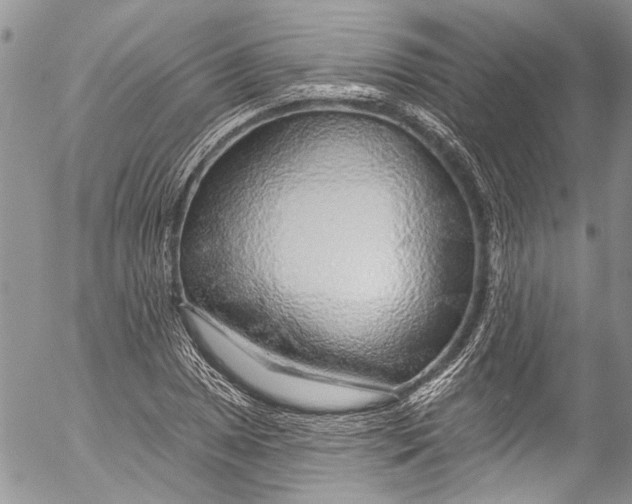 X0000055521025200509091402