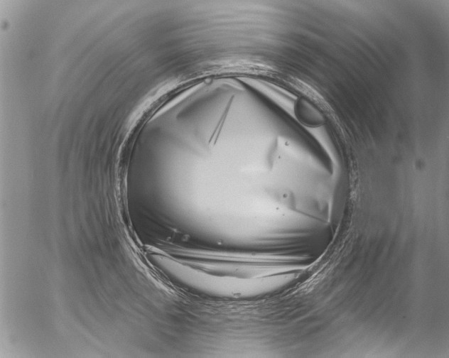 X0000055521043200509091402