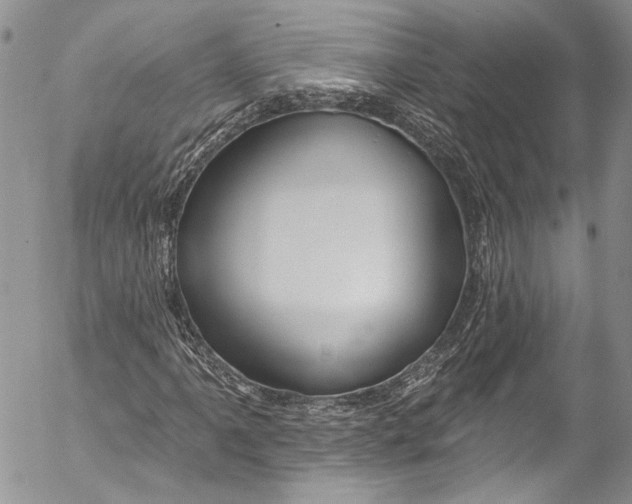 X0000055521061200509091401