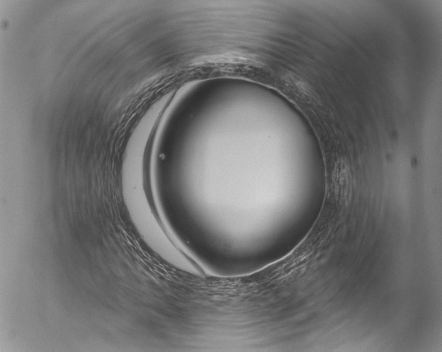 X0000055521062200509091401