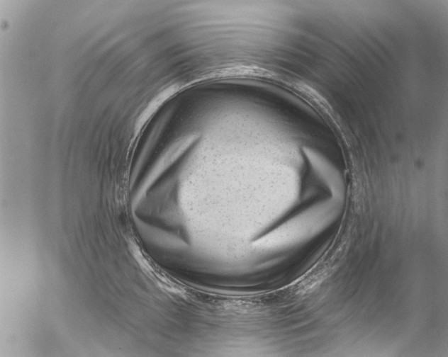 X0000055521097200509091401