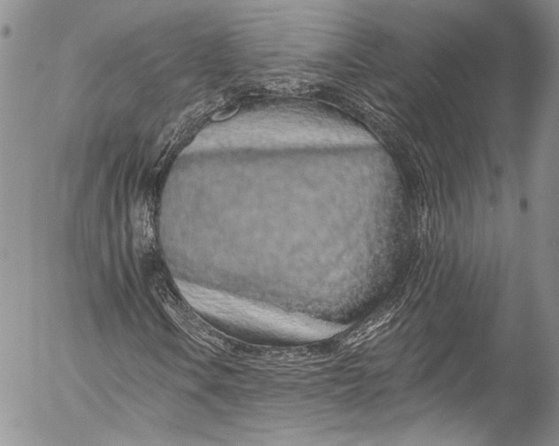 X0000055521106200509091400