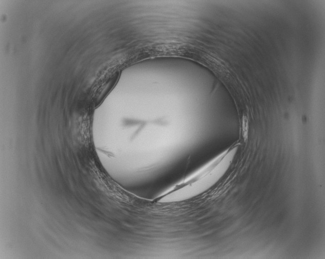 X0000055521107200509091400