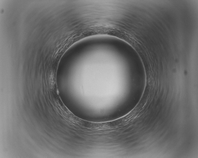 X0000055521108200509091400