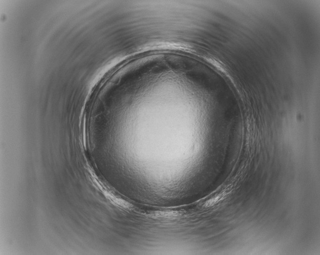 X0000055521127200509091400