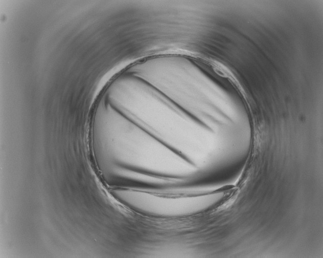 X0000055521149200509091401