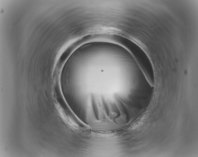 X0000055521152200509091401