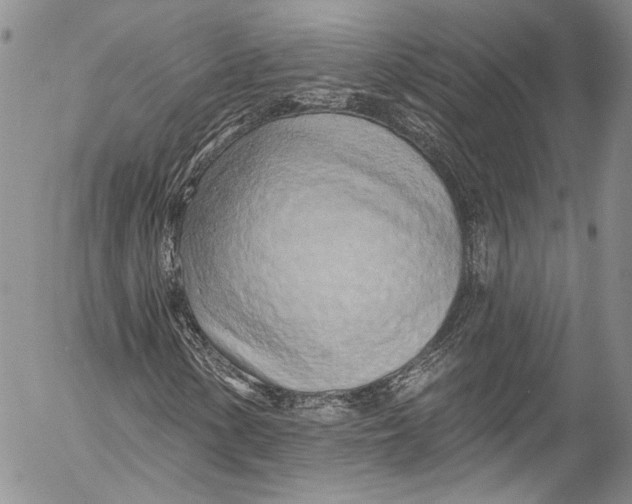 X0000055521154200509091400