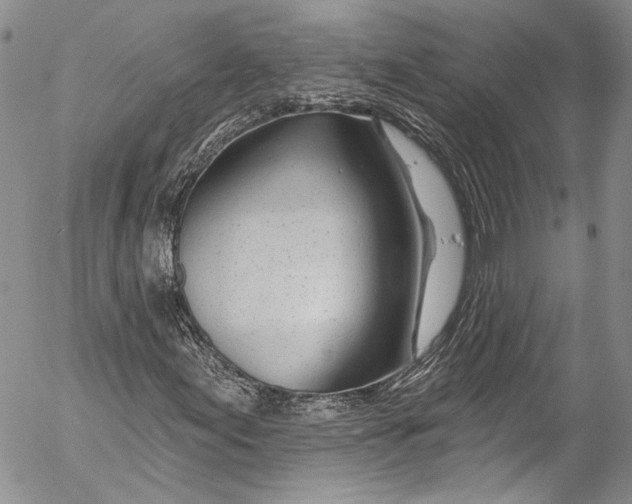 X0000055521155200509091400