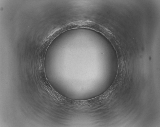 X0000055521158200509091400