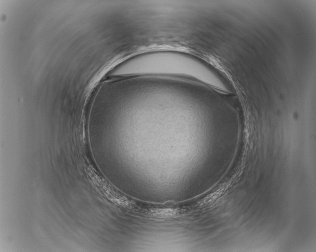 X0000055521173200509091400