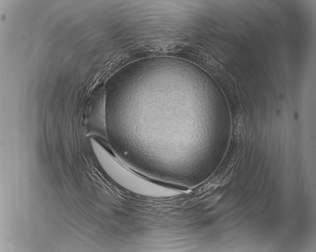 X0000055521202200509091358