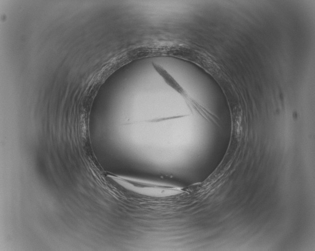 X0000055521204200509091359