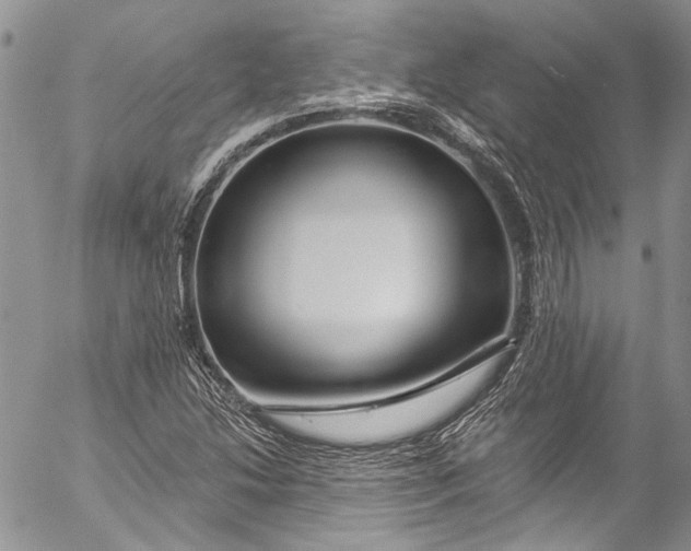 X0000055521214200509091359