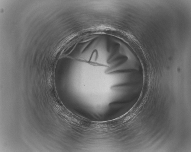 X0000055521217200509091359