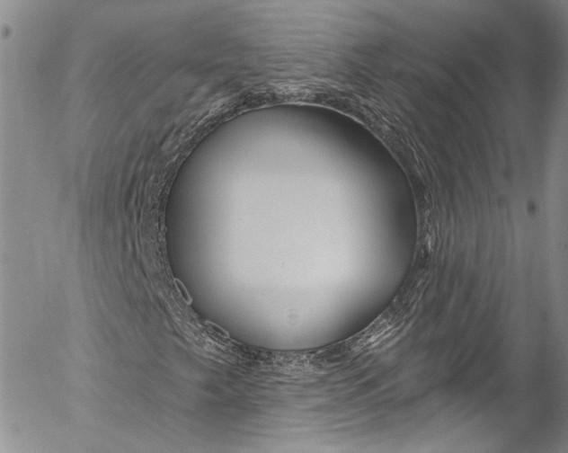 X0000055521249200509091358