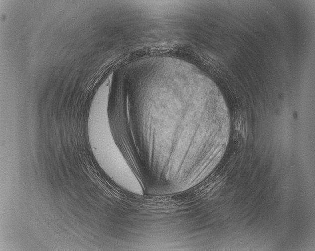 X0000055521252200509091358