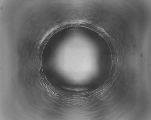 X0000055521256200509091358