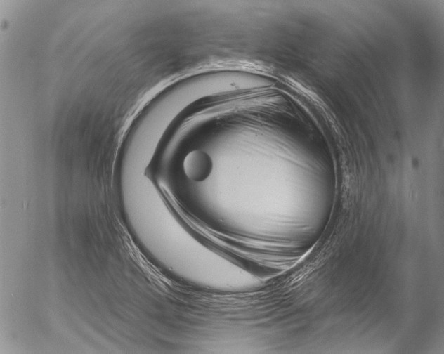 X0000055521272200509091358