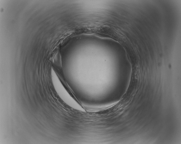 X0000055521298200509091357