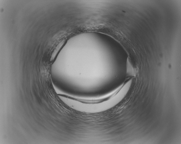 X0000055521300200509091357