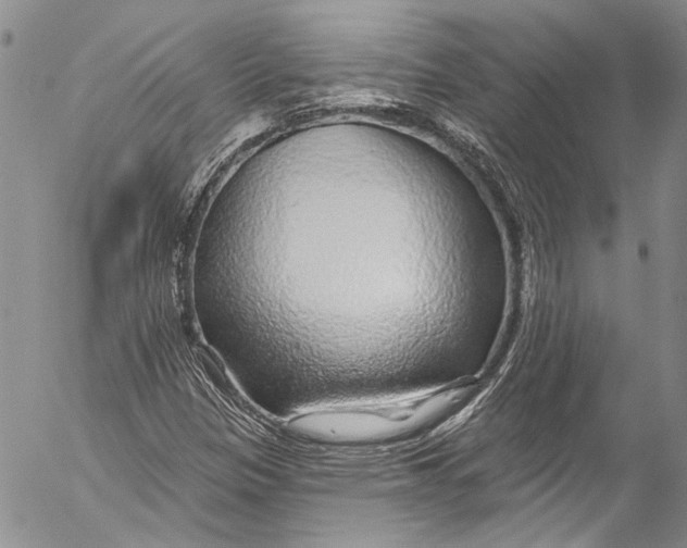X0000055521305200509091357