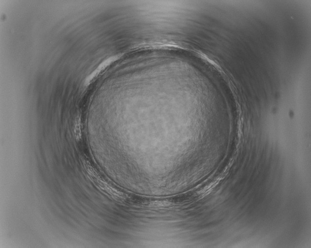 X0000055521306200509091357