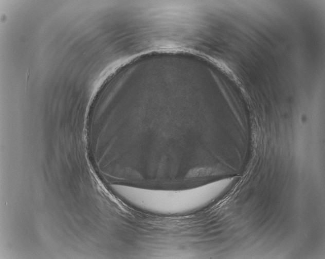 X0000055521327200509091357
