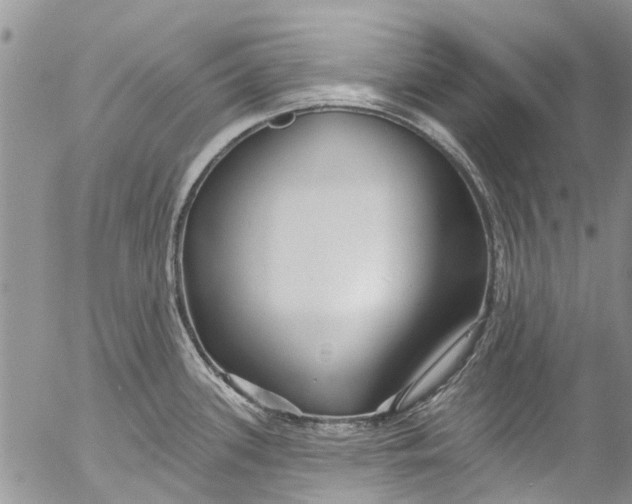 X0000055521339200509091358