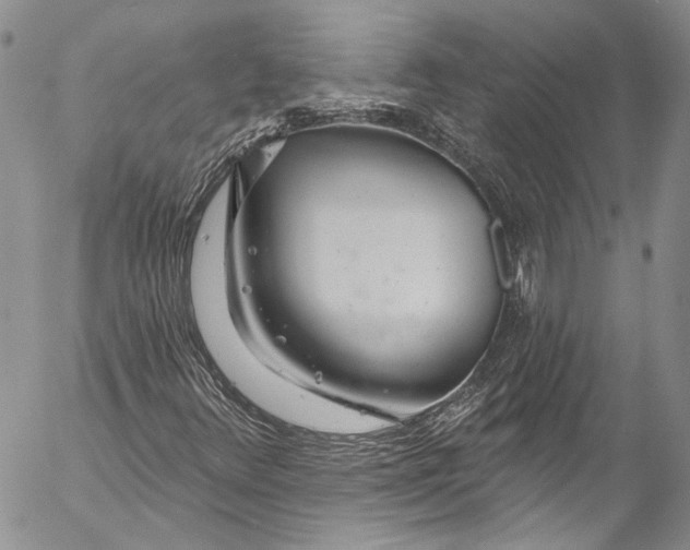 X0000055521348200509091357