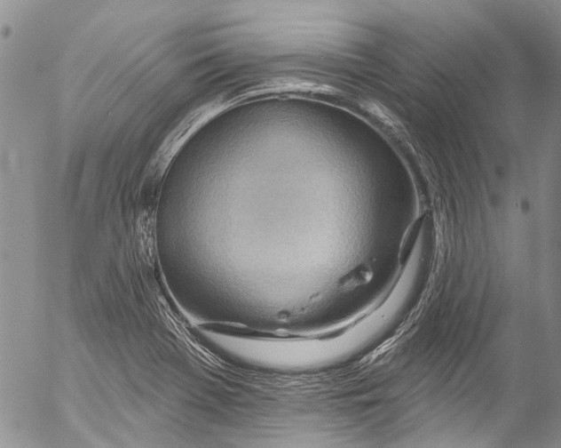 X0000055521369200509091357