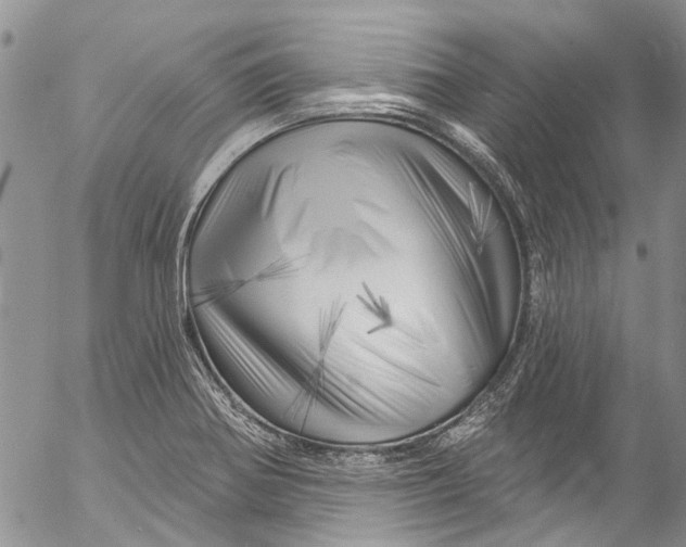X0000055521370200509091356
