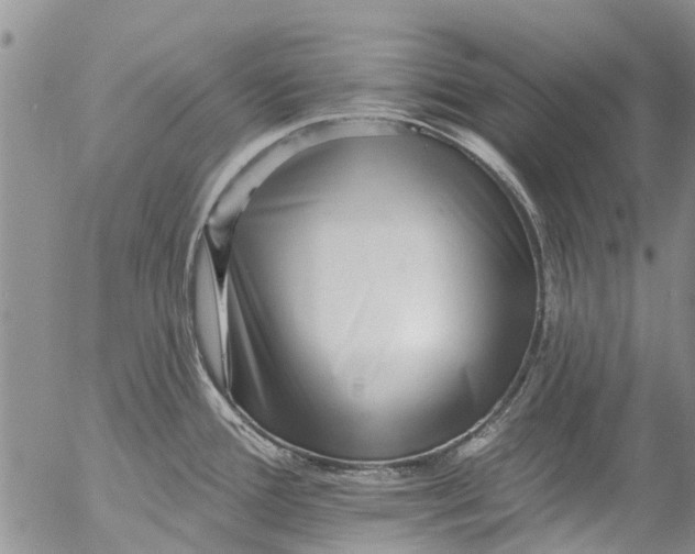 X0000055521388200509091356