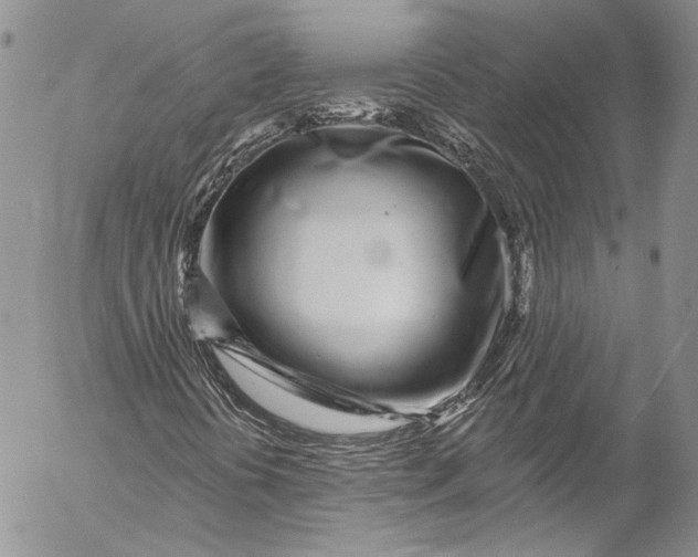X0000055521394200509091355