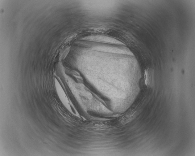 X0000055521395200509091355