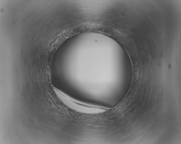X0000055521397200509091355