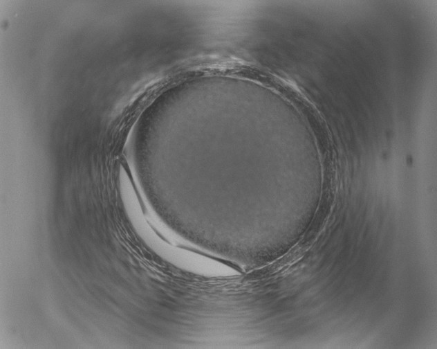X0000055521399200509091355
