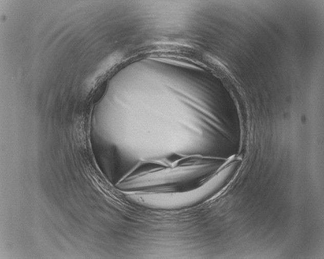 X0000055521403200509091356