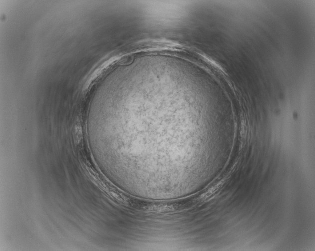 X0000055521407200509091356