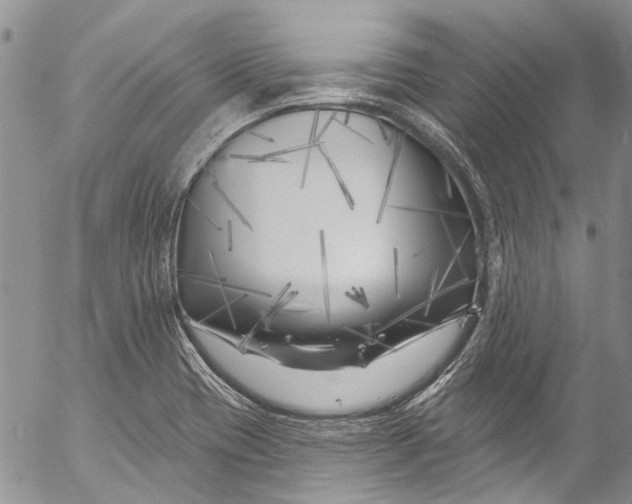 X0000055521417200509091356